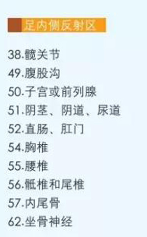 足内侧特效反射区
