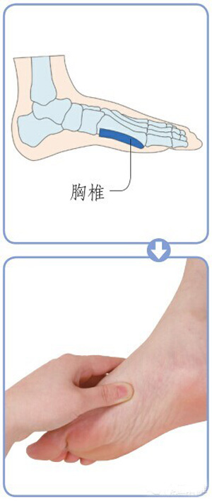 足内侧特效反射区