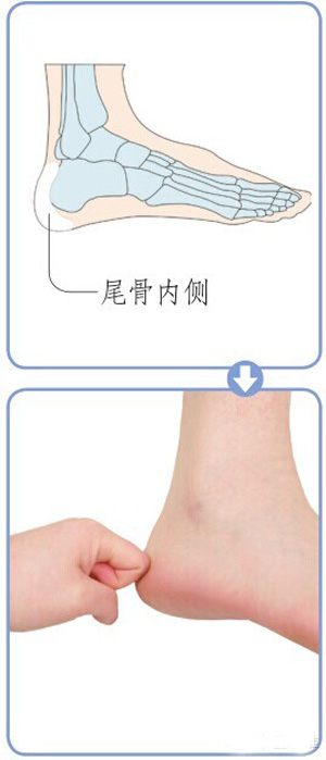 足内侧特效反射区