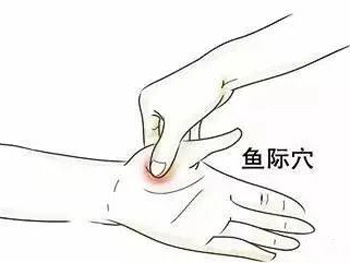 鱼际