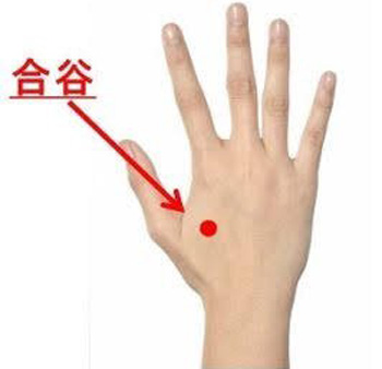 合谷