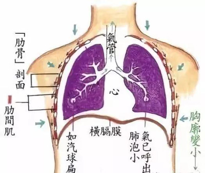 腹式呼吸法