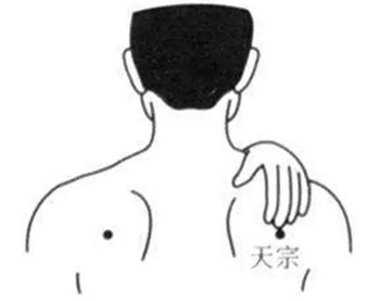 天宗穴