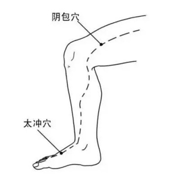 阴包穴