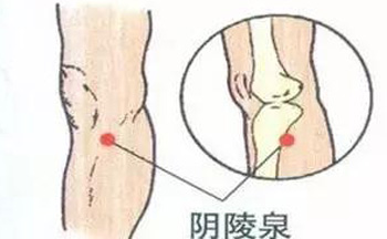 阴陵泉