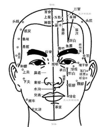 面部穴位