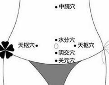 阴交穴