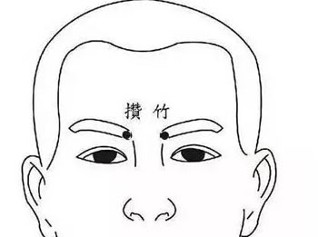 攒竹