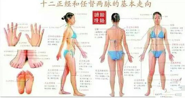 十二正经任督两脉基本走向