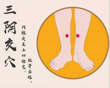 三阴交穴