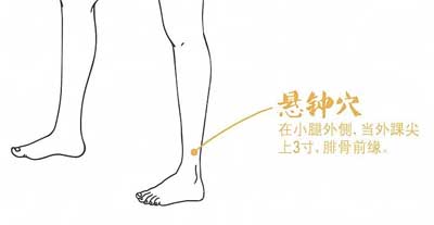 悬钟穴