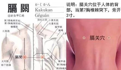 膈关穴
