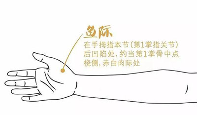 鱼际穴
