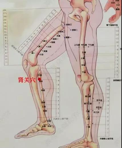 肾关穴