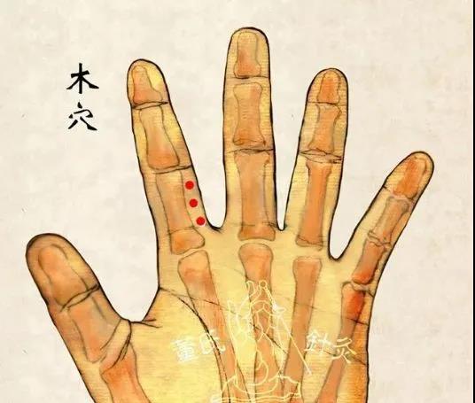 木穴