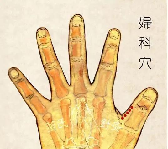 妇科五穴