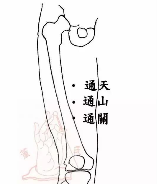 通关、通山、通天三穴