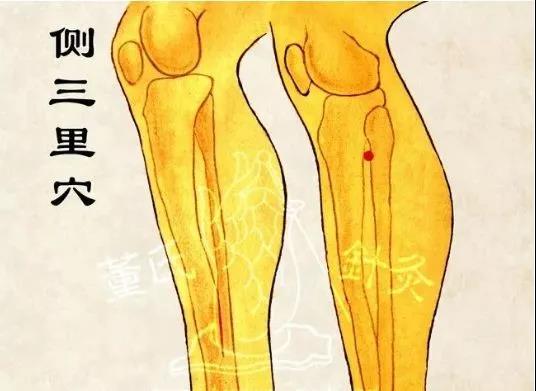 侧三里穴
