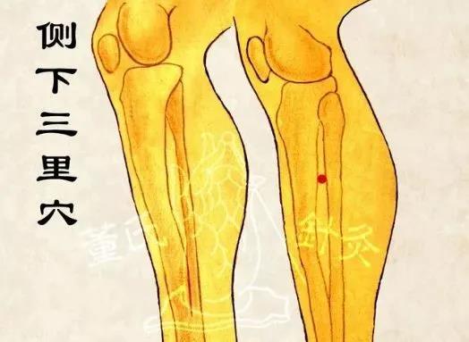 侧下三里穴