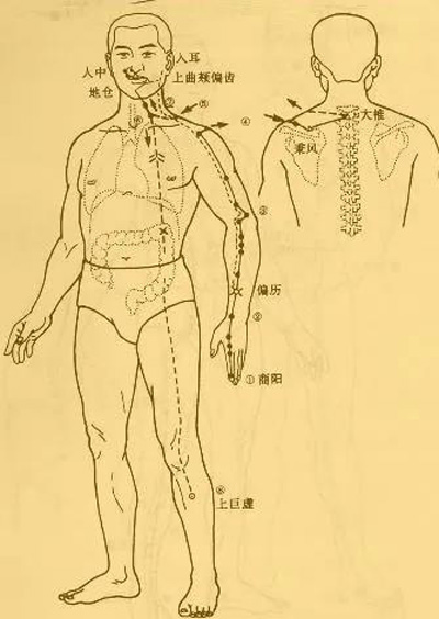 温溜穴，专治结节、肌瘤、囊肿和包块