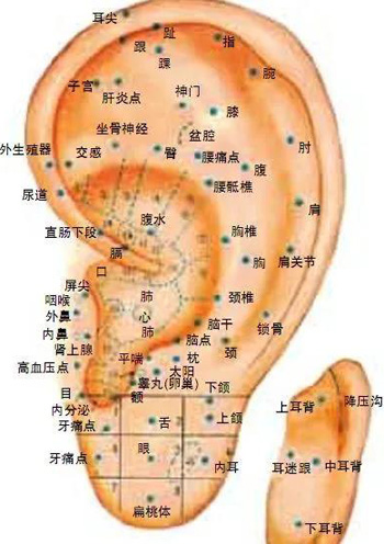 鼻炎的中医针灸治疗