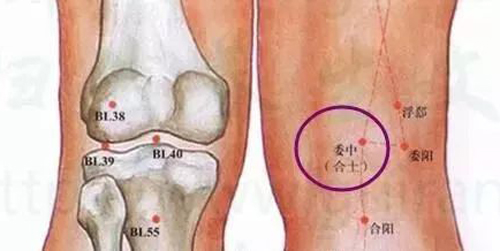 委中穴：腹痛、吐泻、小便不利、遗尿
