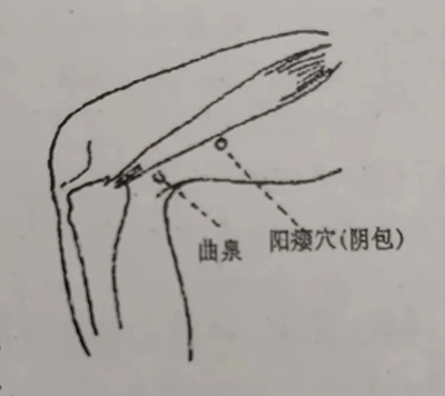 一针疗法：阳痿穴