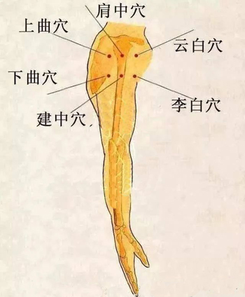 云白穴治妇科病有特效