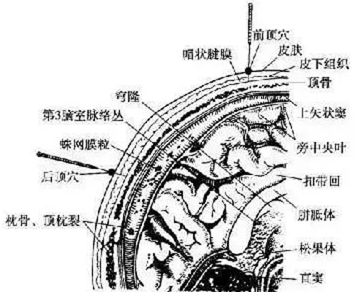 调神要穴——四神针