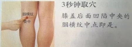 委中一穴能调多种病症