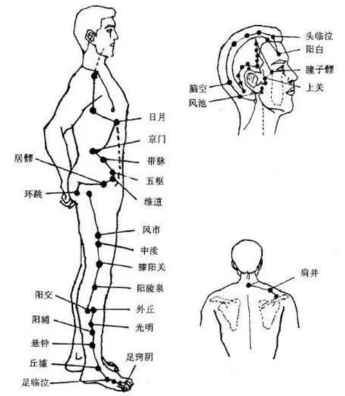 肝胆经的循行路线