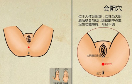 男人的秘宗梨子（睾丸）功