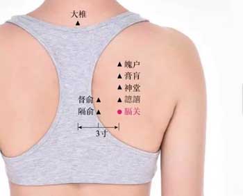 膈腧穴：便血、心痛、心悸、胸闷、呕吐