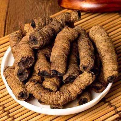 10种补肾、壮阳的中药