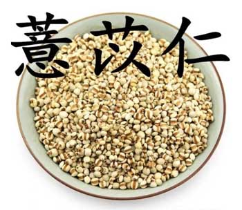 治疗息肉验方