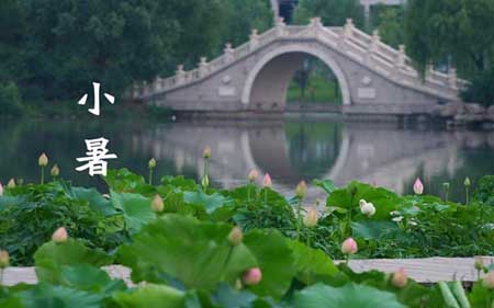 小暑，人体排毒黄金季