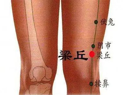 肠胃病针灸穴位