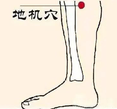 肠胃病针灸穴位