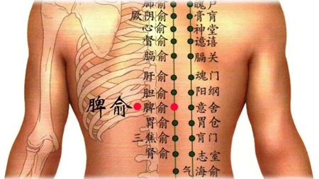 肠胃病针灸穴位