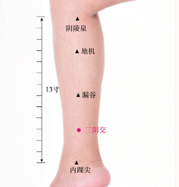 子宫肌瘤特效穴位