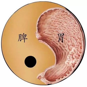 顾护脾胃治疗肝硬化医案