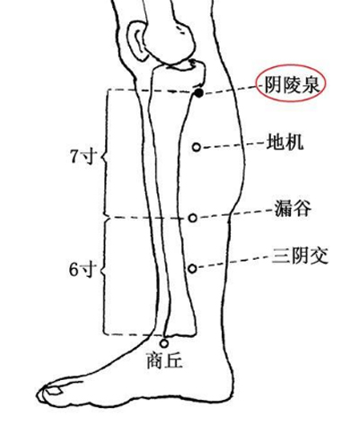 几针痛苦立缓——胃痉挛针灸