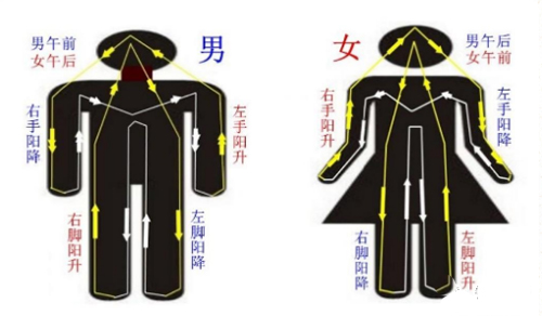 奇脉四针，穴位处方