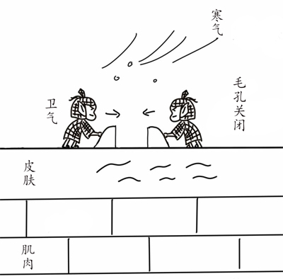 提高人体免疫力的中成药——玉屏风散