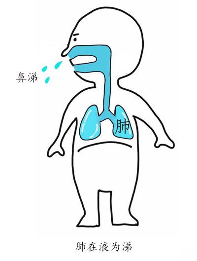 提高人体免疫力的中成药——玉屏风散