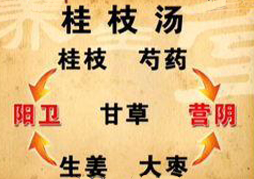 桂枝汤，仲景群方之魁，药仅五味，内伤外感都能治