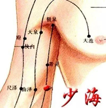 针对手颤、手麻、脚麻、面部神经麻痹，立竿见影的穴位