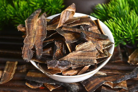 虫类药物及配伍特点分析