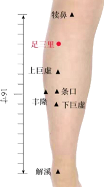 肚腹三里留