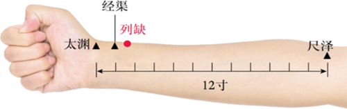 头项寻列缺